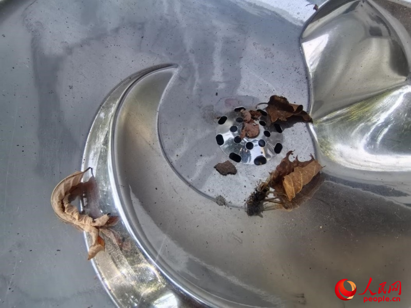 金海灣公園沿線，管理不當(dāng)?shù)闹憋嬎c位出水口下方水槽中，有落葉、死蟲等垃圾。姚於攝