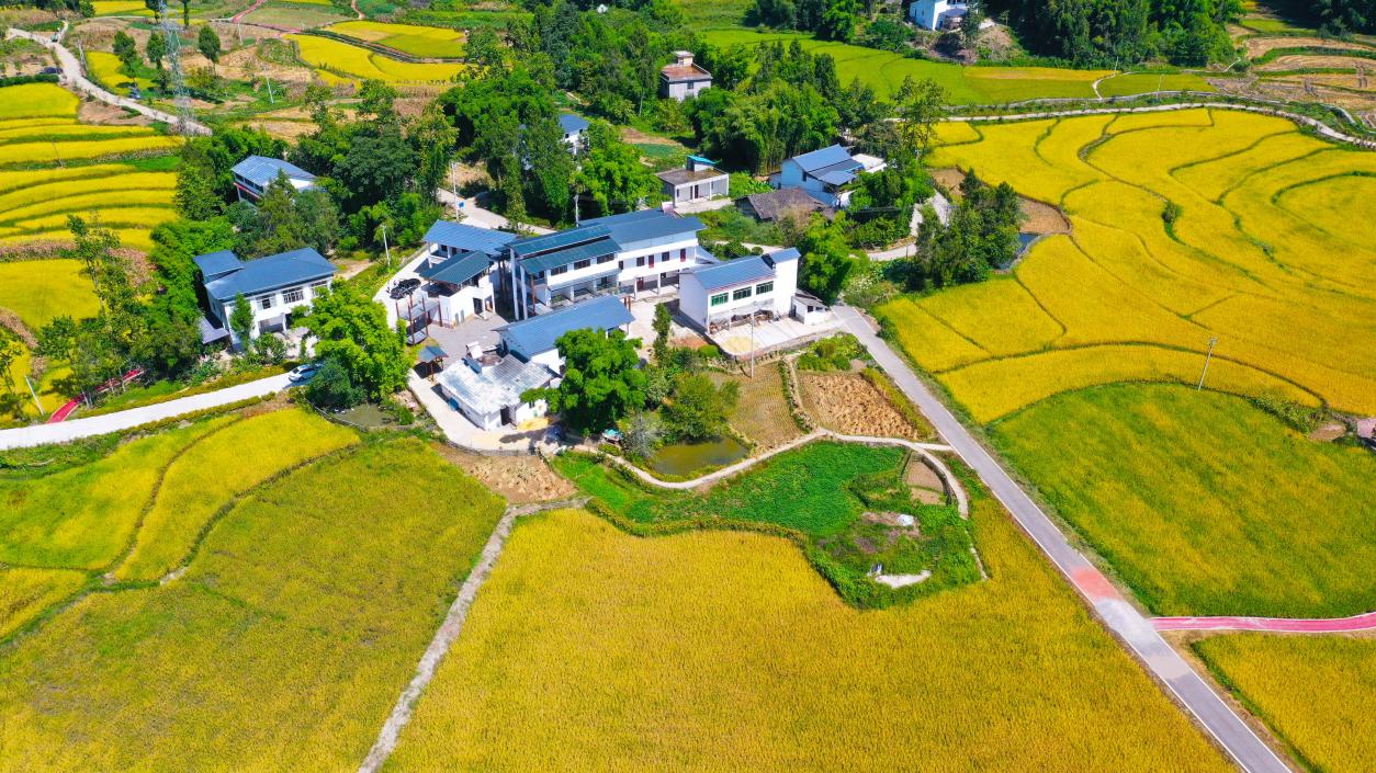 鳥瞰長塘村。劉輝攝