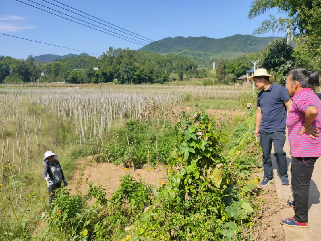 周鄭（右二）走訪群眾收集意見。黃亞輝攝