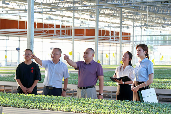 郵儲銀行工作人員實地調(diào)研走訪。向詩佳 攝