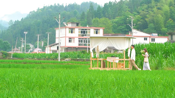 區(qū)陽田園風光。郵儲銀行重慶分行供圖