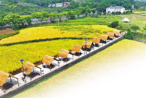 稻田火鍋。渝北區(qū)商務(wù)委供圖