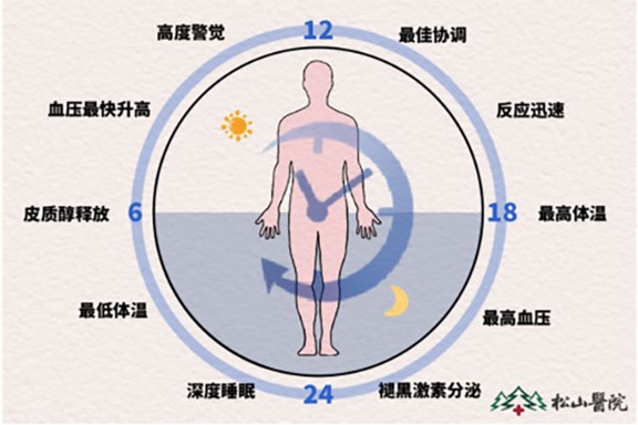 24小睡眠生理周期。重慶松山醫(yī)院供圖