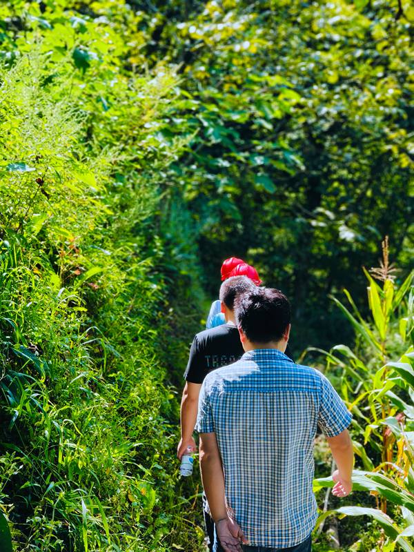 《背影》。8月29日，川東南勘察公司地災防治事業(yè)部技術負責人謝應坤及駐守地質(zhì)工程師楊彬、王森林、劉英劍到城口縣厚坪鄉(xiāng)龍盤村地災隱患點實地晨巡。孫煜攝