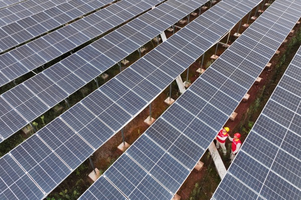 少云村的光伏場(chǎng)。國(guó)網(wǎng)重慶電力供圖