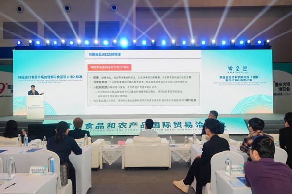 活動現(xiàn)場。主辦方供圖