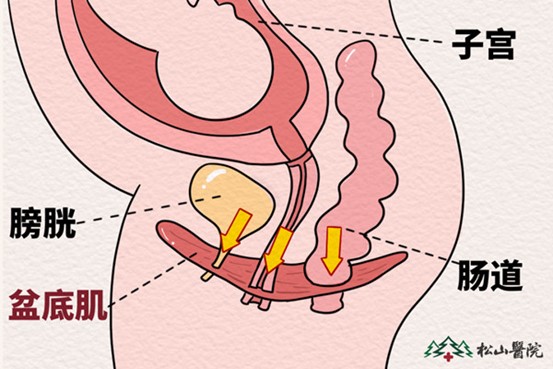 示意圖。重慶松山醫(yī)院供圖