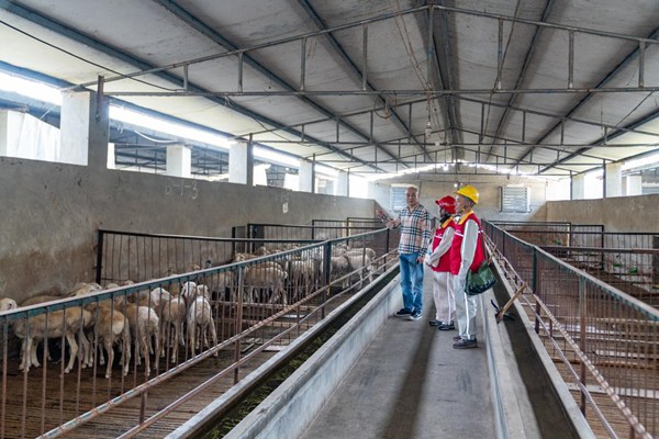 電力員工在榮城構(gòu)羊現(xiàn)代養(yǎng)殖場(chǎng)開(kāi)展安全用電檢查。國(guó)網(wǎng)重慶永川供電公司供圖