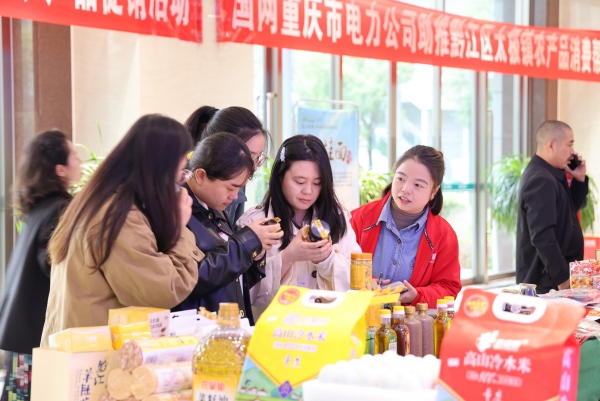 活動(dòng)現(xiàn)場(chǎng)。楊笛攝