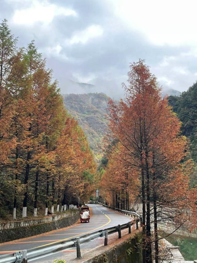 沿途彩林茂盛。任峰攝