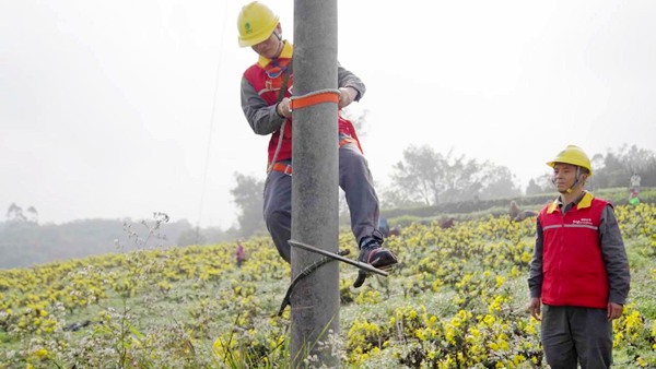 電力工人對電力設備進行安全檢查。國網(wǎng)重慶永川供電公司供圖