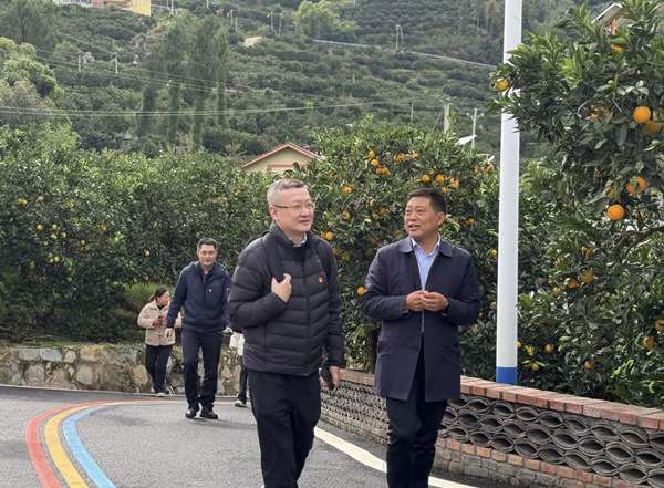 走進(jìn)永樂鎮(zhèn)長凼村、大壩村臍橙產(chǎn)業(yè)園了解發(fā)展?fàn)顩r。光大銀行重慶分行供圖