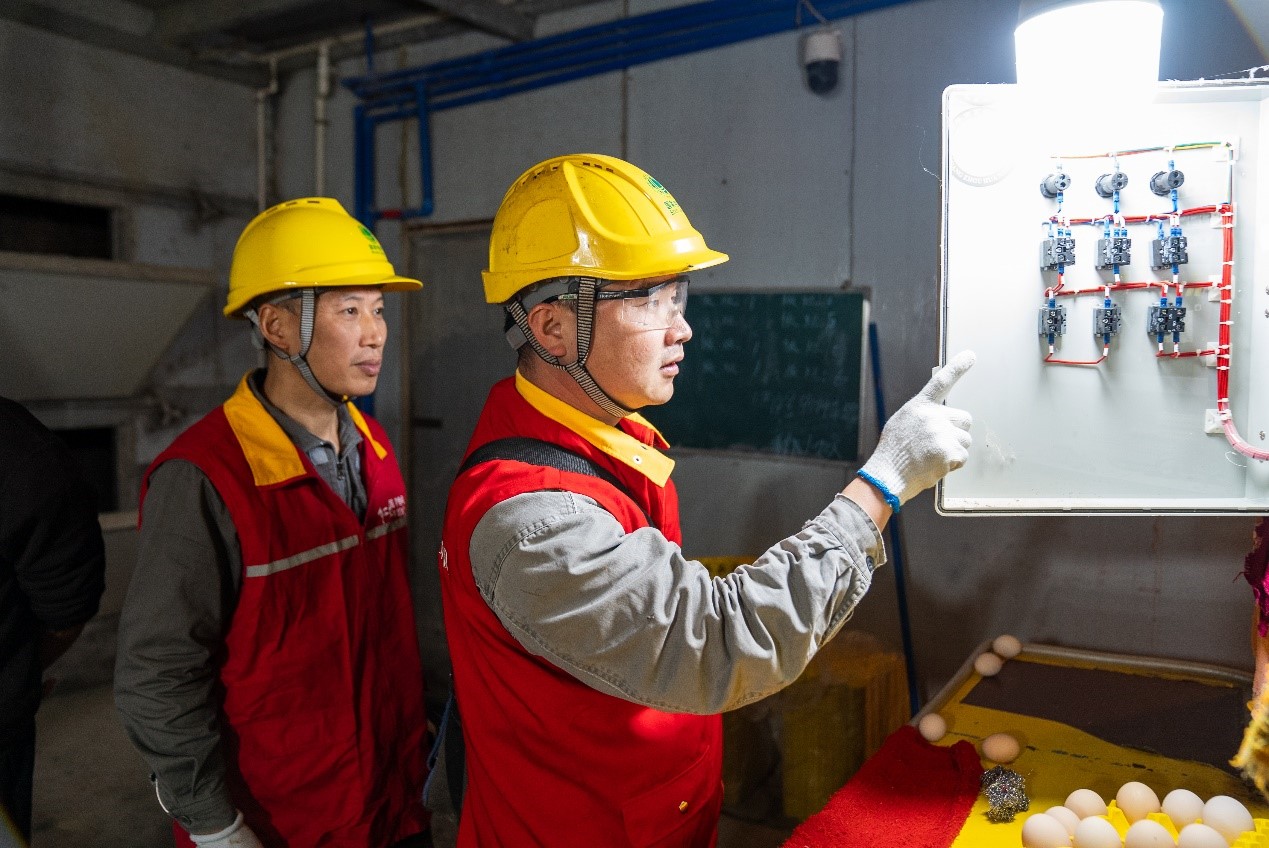 電力工人對(duì)儲(chǔ)蛋室通風(fēng)系統(tǒng)進(jìn)行安全檢查。國網(wǎng)重慶永川供電公司供圖