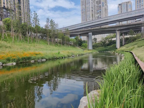 溉瀾溪“清水綠岸”治理提升工程。重慶設(shè)計(jì)集團(tuán)有限公司市政設(shè)計(jì)研究院供圖