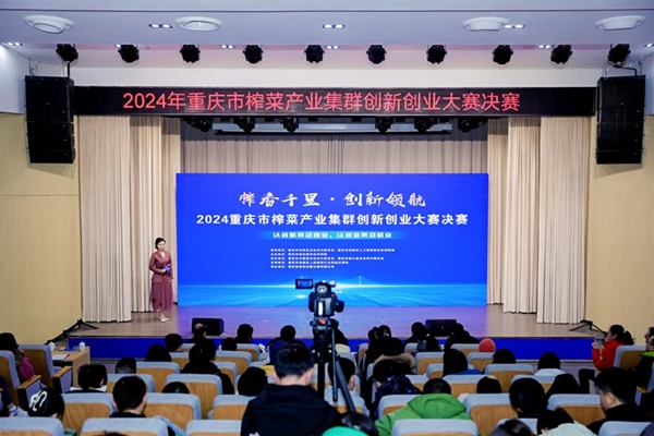 比賽現(xiàn)場。主辦方供圖