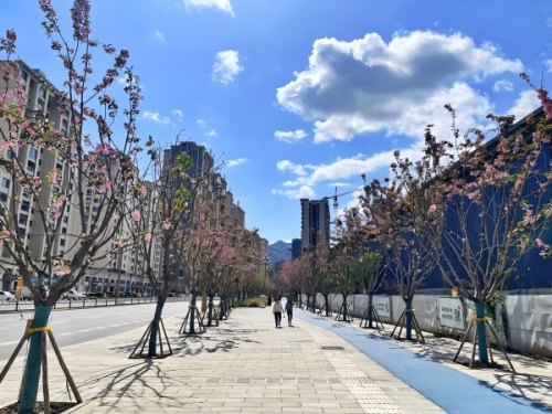 竣工后的夔州西路。重慶設(shè)計集團(tuán)有限公司市政設(shè)計研究院供圖