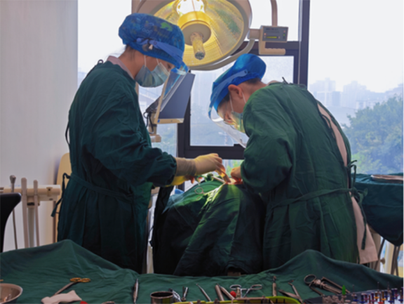 醫(yī)生為患者進(jìn)行牙齒治療。泰康拜博口腔供圖