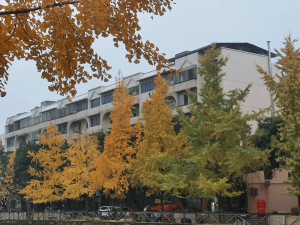 改造后的小區(qū)。璧山區(qū)住房城鄉(xiāng)建委供圖