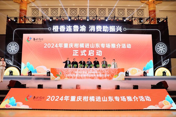 活動現(xiàn)場。主辦方供圖