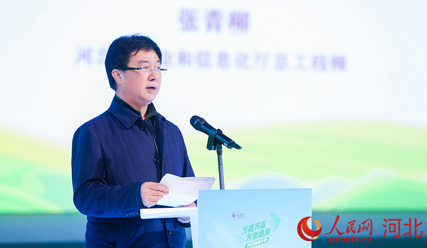 河北省工業(yè)和信息化廳總工程師張青柳講話。人民網(wǎng)記者 李兆民攝