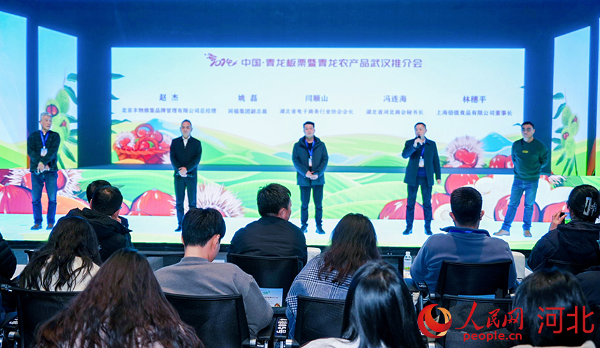 湖北、河北兩地行業(yè)協(xié)會和企業(yè)代表上臺分享如何共享商機(jī)，共促合作。人民網(wǎng)記者 周博攝