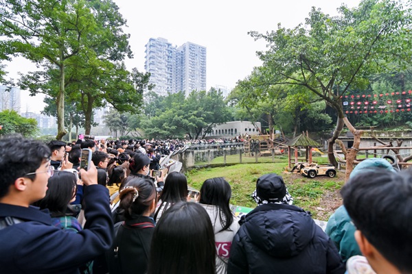 活動現(xiàn)場。長安啟源供圖