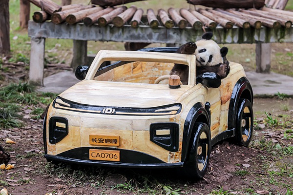 莽燦燦換新車。長安啟源供圖