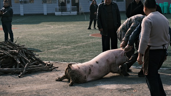 年豬節(jié)現(xiàn)場(chǎng)。西南大學(xué)鄉(xiāng)村振興戰(zhàn)略研究院供圖