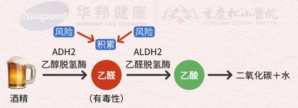 示意圖。重慶松山醫(yī)院供圖