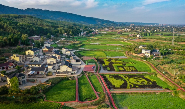 雙昌產(chǎn)業(yè)園。榮昌區(qū)委宣傳部供圖