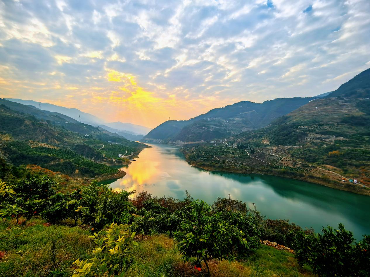 柳池村臍橙產(chǎn)業(yè)園風(fēng)光。李征攝