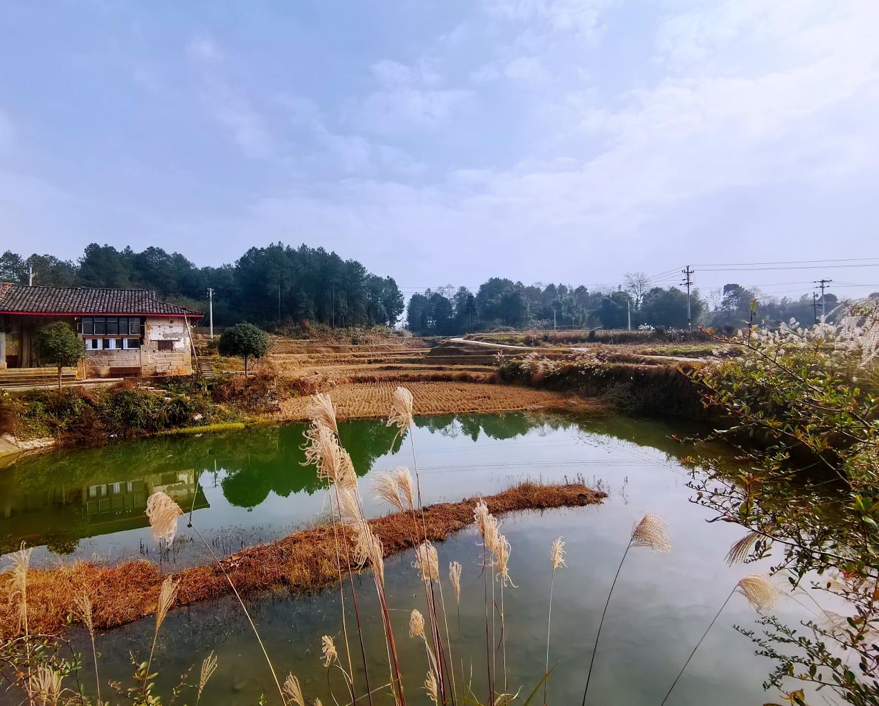 中壩村田園風(fēng)光。姚於攝