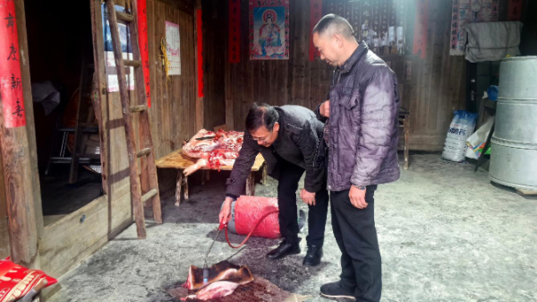 臨近春節(jié)，秀山縣稅務(wù)局派駐云隘村第一書(shū)記陳夕才（左）正在幫助云隘村村民處理、銷售土豬。張?chǎng)┗輸z