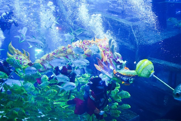 活動(dòng)現(xiàn)場(chǎng)。重慶融創(chuàng)文旅城供圖