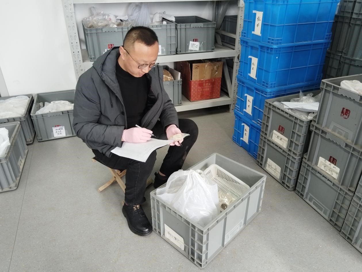 楊鵬強(qiáng)在整理文物資料。馮耀攝