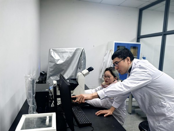 高峰博士正在實(shí)驗(yàn)室查看試驗(yàn)數(shù)據(jù)?？萍既?qǐng)?bào)記者 雍黎 攝