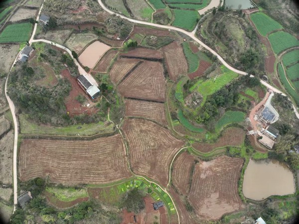 部分高改農(nóng)田。重慶智慧農(nóng)服集團(tuán)供圖