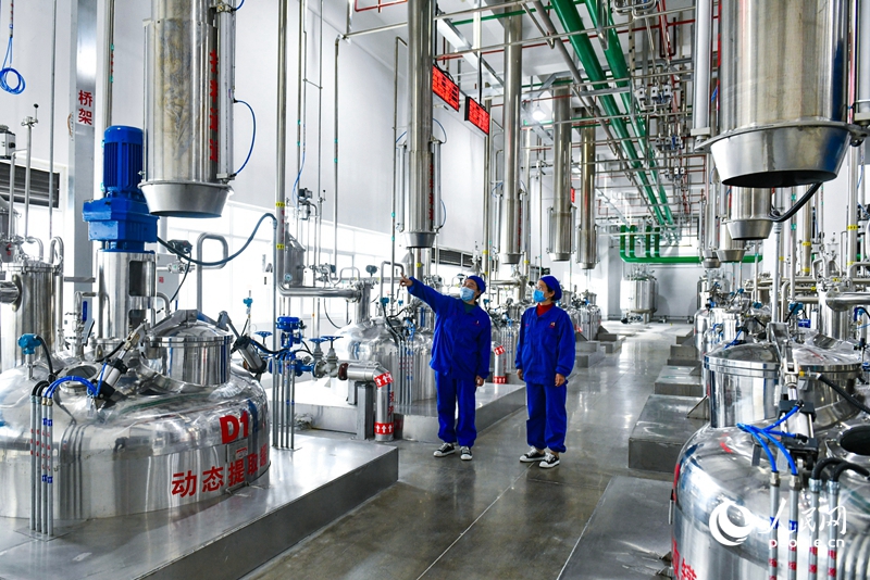 配方顆粒智能車間，中藥可實(shí)現(xiàn)自動(dòng)化高效提取。人民網(wǎng) 程明輝攝