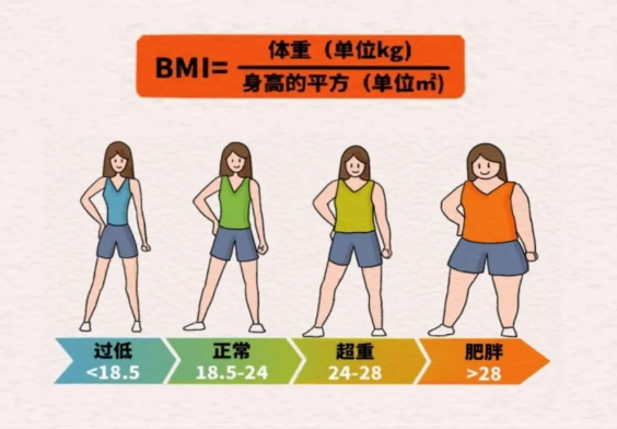 BMI范圍。重慶松山醫(yī)院供圖