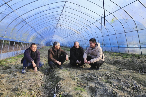 孫和發(fā)（右一）在育苗大棚內(nèi)向工作人員講解育苗注意事項(xiàng)。謝紹春攝