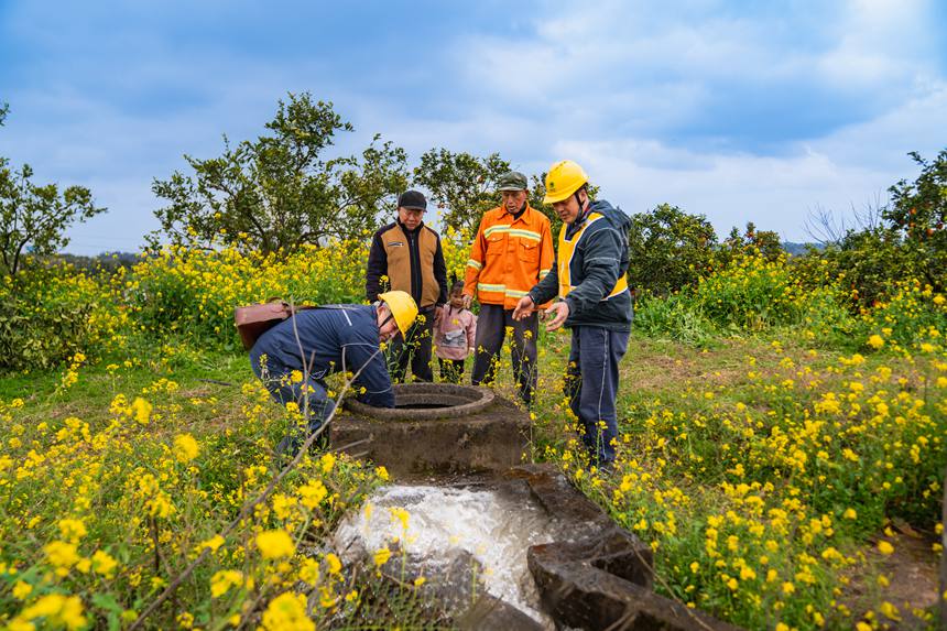 2月25日，在榮昌區(qū)清流鎮(zhèn)馬草村血橙種植基地，國(guó)網(wǎng)重慶永川供電公司工作人員和果農(nóng)在一起勞作，了解現(xiàn)階段用電需求，確保果園的噴灌、水肥一體化、凍庫(kù)運(yùn)行等用電設(shè)備能夠正常運(yùn)行。賴小龍攝