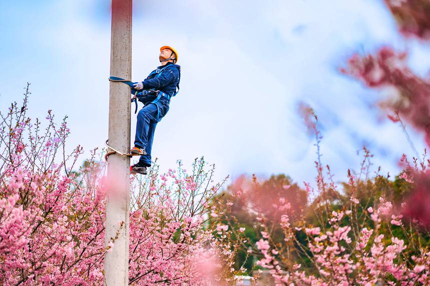 2月25日，在榮昌峰高街道金銀村，國網(wǎng)重慶永川供電公司大力促進“電力+文旅”融合，對櫻花園春灌用電進行全面檢查維護，同時向游客宣講保護電力設(shè)施知識。賴小龍攝