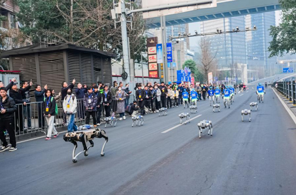 現(xiàn)場助力的機(jī)器狗和機(jī)器人。主辦方供圖
