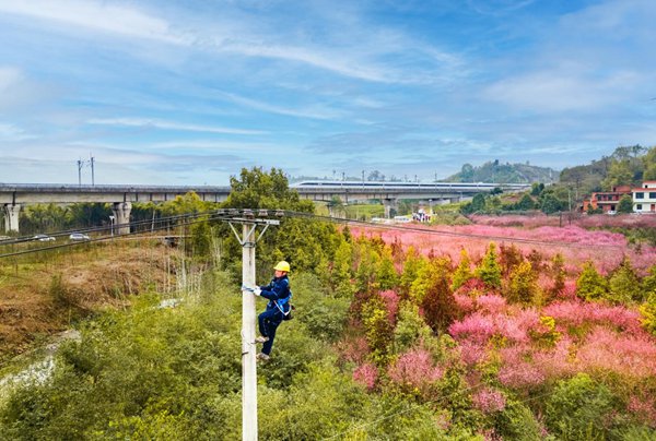 電力員工在電桿上作業(yè)。國網(wǎng)重慶永川供電公司供圖