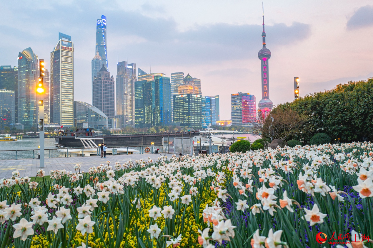 北外灘繁花似錦，景色迷人。 人民網(wǎng)記者 王初攝