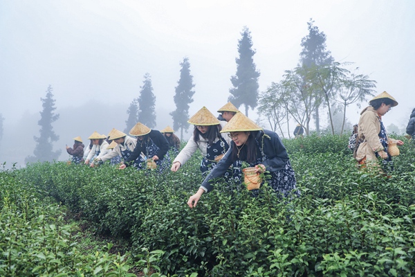 活動現(xiàn)場。主辦方供圖