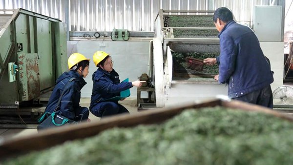 電力人員檢查設(shè)備安全運(yùn)行情況。國(guó)網(wǎng)重慶永川供電公司供圖