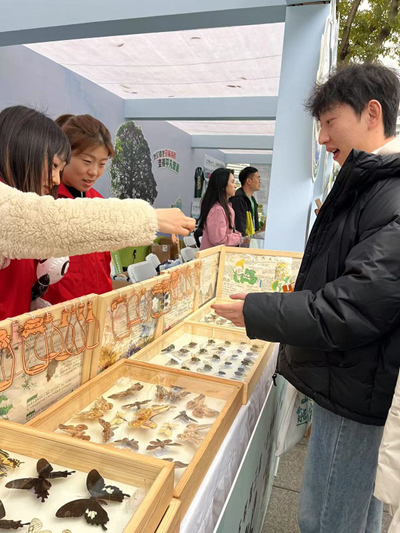 蝴蝶標本展示。周小平攝