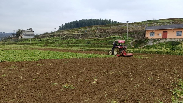 龍?zhí)豆╀N社開展農(nóng)業(yè)社會(huì)化服務(wù)。重慶市供銷合作總社供圖