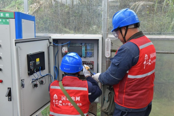 國網(wǎng)重慶市南供電公司員工在石灘鎮(zhèn)水稻商品化育苗中心檢查配電箱。楊明麗攝